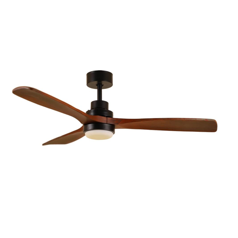 HH52-345 Ceiling Fan Light - 副本