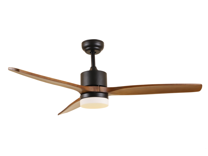 HH52-309A Ceiling Fan Light