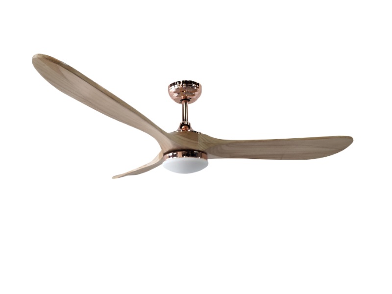 HH52-389B Ceiling Fan Light